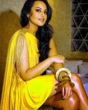 Actress Sonakshi Sinha Sexy Photos