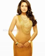 Actress Sonakshi Sinha Sexy Photos