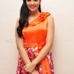 Sreemukhi 24