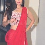 Tanya Hope 24 Actress Tanya Hope At Disco Raja Pre release Event Pictures