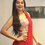 Tanya Hope 15 Actress Tanya Hope At Disco Raja Pre release Event Pictures