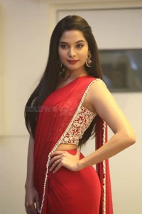 Actress Tanya Hope At Disco Raja Pre release Event Pictures