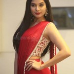 Tanya Hope 10 Actress Tanya Hope At Disco Raja Pre release Event Pictures