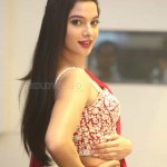 Tanya Hope 9 Actress Tanya Hope At Disco Raja Pre release Event Pictures