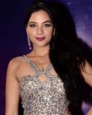 Actress Tanya Hope At Zee Apsara Awards Photos
