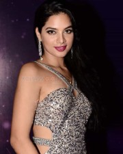Actress Tanya Hope At Zee Apsara Awards Photos