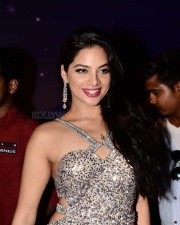Actress Tanya Hope At Zee Apsara Awards Photos