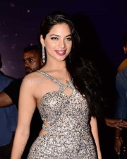 Actress Tanya Hope At Zee Apsara Awards Photos