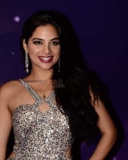 Actress Tanya Hope At Zee Apsara Awards Photos