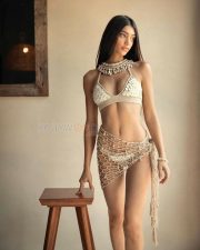Alanna Panday Hot Bikini Pictures