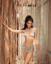Alanna Panday Hot Bikini Pictures