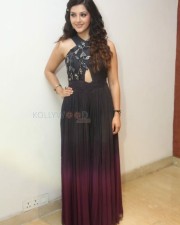 Beautiful Actress Mehrene Kaur Pirzada Photos