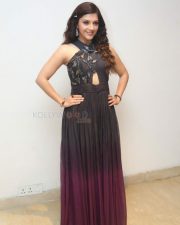 Beautiful Actress Mehrene Kaur Pirzada Photos