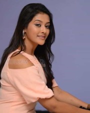 Beautiful Pooja Jhaveri Photos