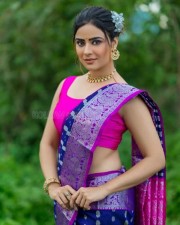 Bommala Koluvu Heroine Priyanka Sharma Pictures