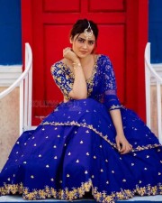 Bommala Koluvu Heroine Priyanka Sharma Pictures