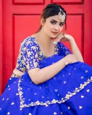 Bommala Koluvu Heroine Priyanka Sharma Pictures