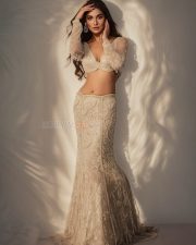 Dazzling Mukti Mohan in a Beige Sheer Long Sleeved Deep Cleavage Crop Top with Matching Long Skirt Pictures 05
