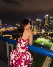 Elegant Actress Mehreen Pirzada in a red saree with gold embroidery Photos 02