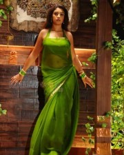Hot Richa Gangopadhyay Pictures