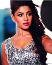 Hot Richa Gangopadhyay Sexy Stills