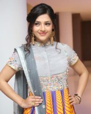 Indian Model Actress Mehreen Pirzada Photos