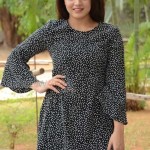 Wamiqa Gabbi 34 Nannu Vadili Neevu Polevule Movie Heroine Wamiqa Gabbi Photos