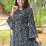 Wamiqa Gabbi 32 Nannu Vadili Neevu Polevule Movie Heroine Wamiqa Gabbi Photos