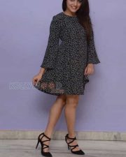 Nannu Vadili Neevu Polevule Movie Heroine Wamiqa Gabbi Photos