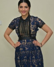 Nenjil Thunivirundhal Movie Heroine Mehreen Pirzada Photos