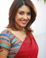 Pictures Of Actress Richa Gangopadhyay