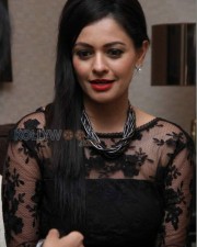 Pooja Kumar 5 Pooja Kumar At Audi A Matix Car Launch Photos