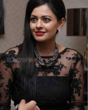 Pooja Kumar 4 Pooja Kumar At Audi A Matix Car Launch Photos