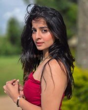 Project Love Actress Mahima Makwana in a Red Strapless Gown Photos 01 Project Love Actress Mahima Makwana in a Red Strapless Gown Photos 01