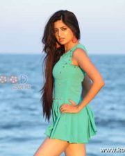 Ranam Heroine Poonam Kaur Sexy Pictures