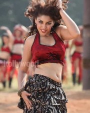 Richa Gangopadhyay Hot New Spicy Stills
