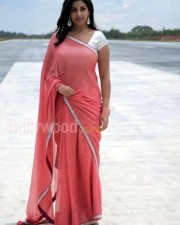 Richa Gangopadhyay Hot Saree Photos