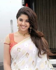 Richa Gangopadhyay Hot Saree Photos