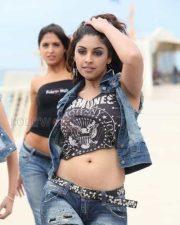 Richa Gangopadhyay Sexy Navel Photos