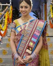 Richa Gangopadhyay Wedding Saree Pictures