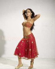 Sexy Mallika Sherawat In Osthi Movie Photos