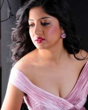 Sexy Poonam Kaur Pics