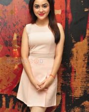 Sexy Ragini Nandwani Photos