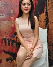 Sexy Ragini Nandwani Photos