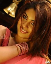 Sexy Richa Gangopadhyay Hot Pictures
