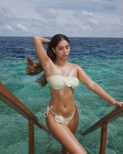 Sizzling Hot Radhika Seth in a Two Piece Bikini Pictures 01