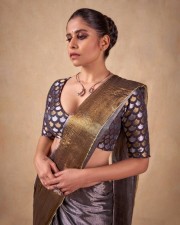 Stunning Sai Tamhankar in a Gray Saree Photos 01