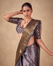 Stunning Sai Tamhankar in a Gray Saree Photos 02