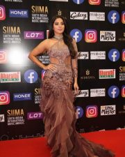 Tanya Hope at SIIMA Awards 2021 Stills 01