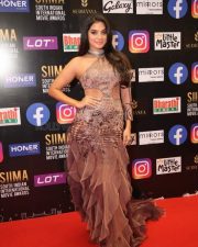 Tanya Hope at SIIMA Awards 2021 Stills 12